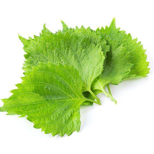 ورق عنب